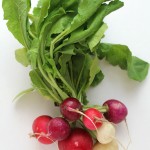 How To: Take the Bite Out of Radishes