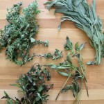 How To Dry and Pair Summer Herbs